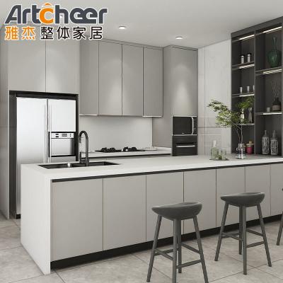 Outdoor BBQ Design Lacquer Kitchen Cabinet Kitchen Furniture with Sofa Close Hinges