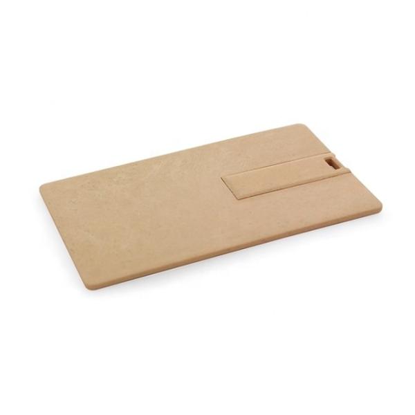 Eco Friendly Biodegradable PLA Material USB flash Drive 128Gb Pen drive