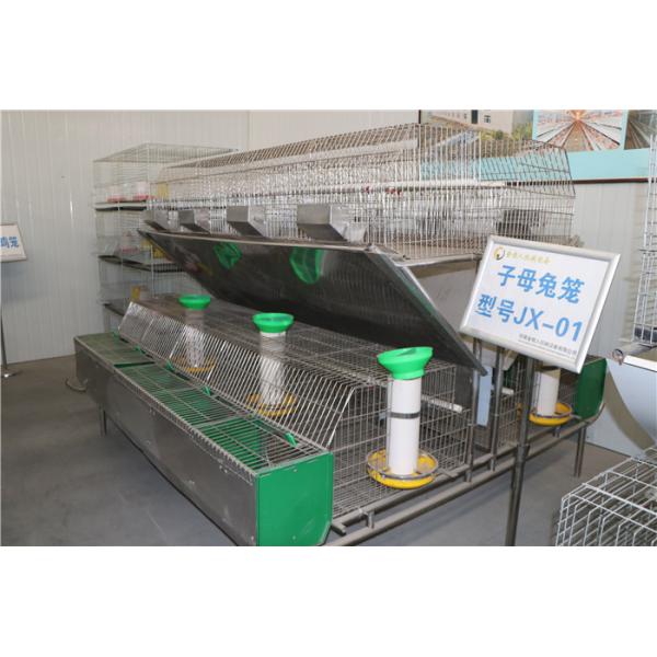 2 rangées 24 cellules cultivent le grillage galvanisé plongé chaud de cage de