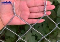 Cercas de malha de fio de diamante de preço competitivo Galvanizadas ou revestidas com PVC