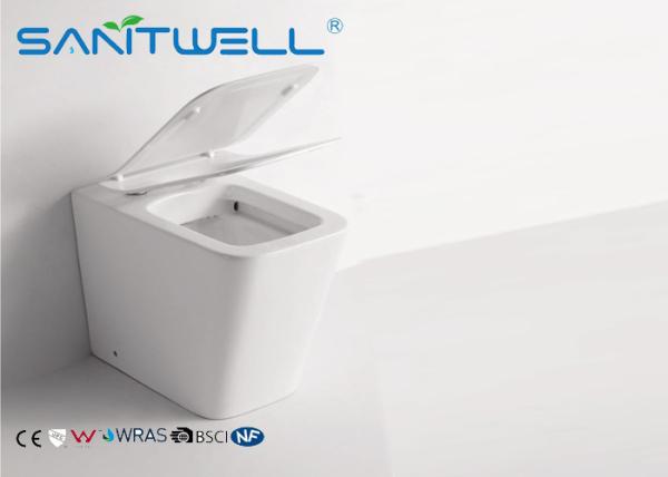 Rimless Free Standing Toilet  With Hidden Water Tank , floor standing wc