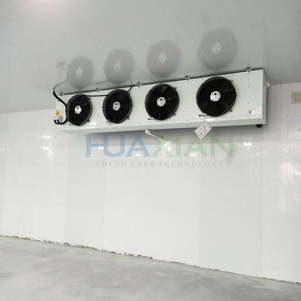 China Poultry Factory Refrigerated Copeland Cold Storage Room for Sale