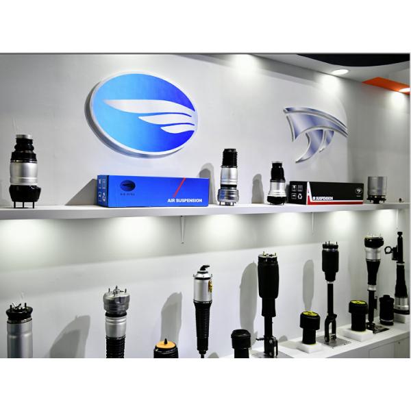 2213205513 Rear Strut Replacement For Mercedes Benz W221