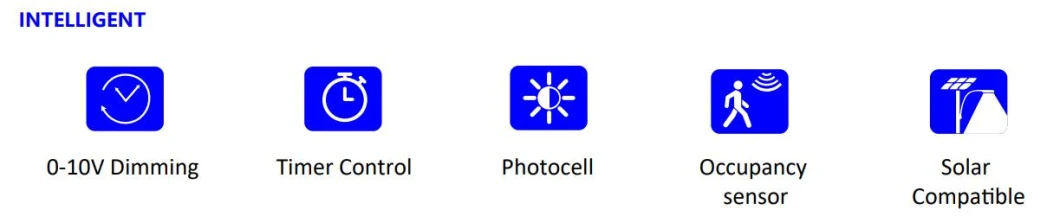 50W 120W 150W 200W 250W LED Flood Street Light 20kv SPD 0-10V Dim Die Casting Aluminum Waterproof IP65 175lm/W