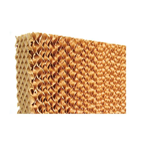Pad Forced Ventilation Evaporative Wet Wall Greenhouse Cooling System