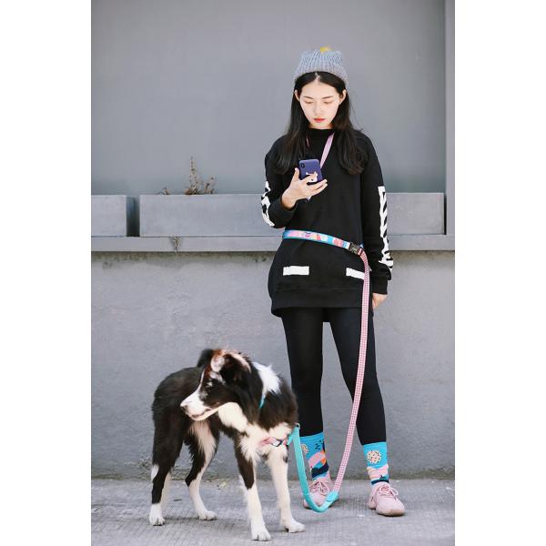 Outdoor Hiking Retractable Anti Pull Dog Leash Lead 1 Inch Halti Handmade