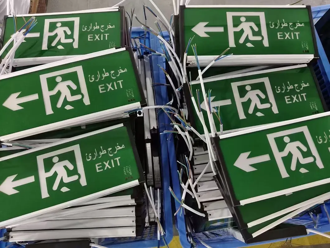 Luz de emergencia antipánico LED para salida de emergencia IP66 para hotel, verde, centro comercial, estación de tren, escuela, supermercado