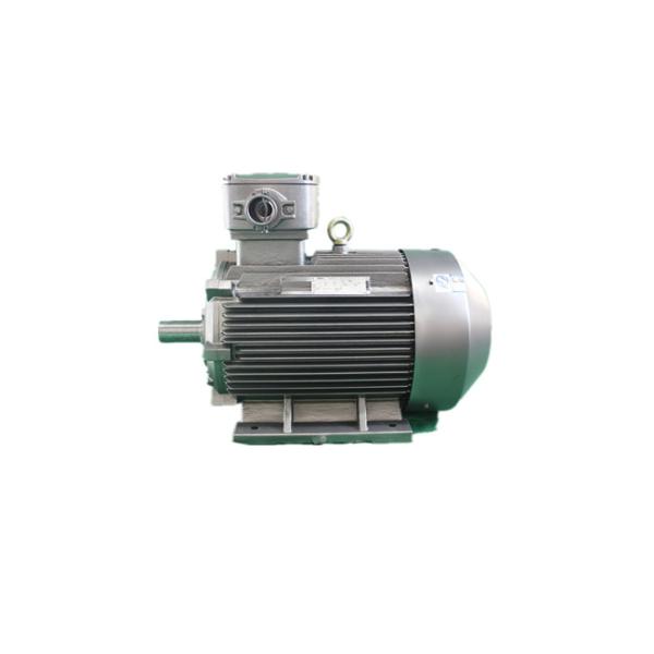 22kW 93.0% High Efficiency Explosion Proof Electric Motor YBX3 180L-4