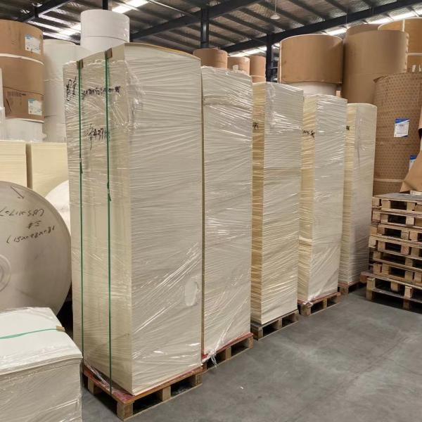 Kraft branco PE da folha do copo de papel de 320 gramas que reveste a impressão deslocada