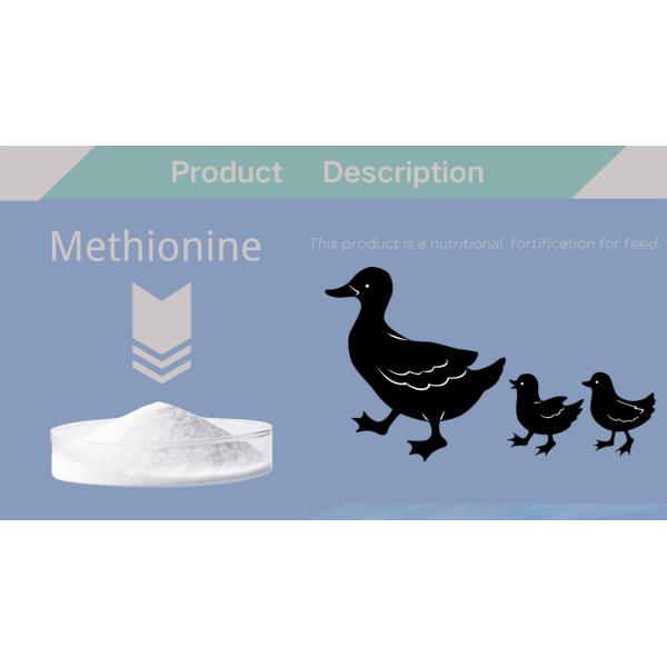 Feed Grade DL Methionine 99% Powder Antibiotic Antibacterial Agents for Poultry Feed