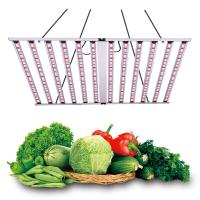 12 bar 1300W LED plantes poussent la lumière commerciale à double sens Faible spectre complet UV IR SASMSUNG Lm301b Lm301h Lm281b pour les fruits et légumes fleurir
