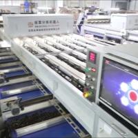 Experience Enhanced Efficiency with Our AI Powered, High Capacity, 304 Stainless Steel Chestnut Sorting Machine Featuring 8 Lanes + 8 Outlets for Optimized Processing.