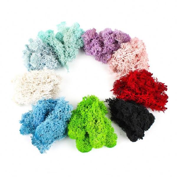 Customized Color Super Moss Reindeer Moss 58*39.5*20CM For Home Decoration