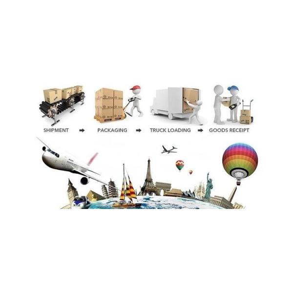 4-5cm Austin Flower Rose Head Preserved Long Lasting Eternal Rose For Wedding Decoration