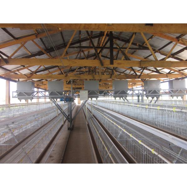 Stainless Layer Chicken Cage Poultry Farming Hen Cages Feeding System