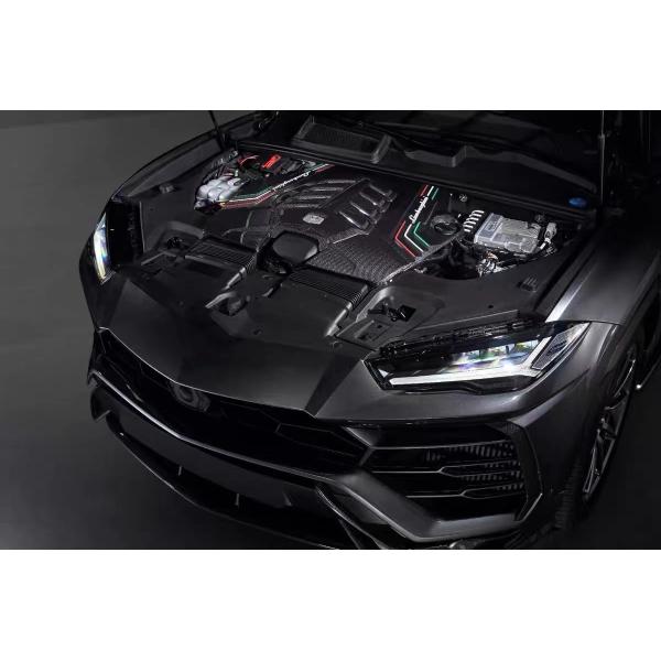 2019 Black Lamborghini Body Kit Dry Carbon Fiber Engine Interior Guard Shield
