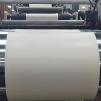 Rollo de papel recubierto de PLA respetuoso con el medio ambiente para soluciones de embalaje de alimentos