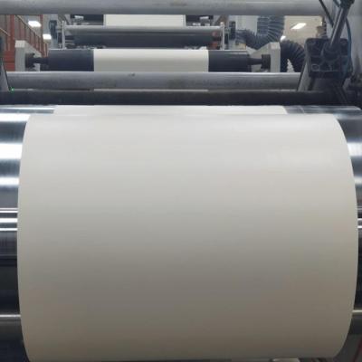 Rollo de papel recubierto de PLA respetuoso con el medio ambiente para soluciones de embalaje de alimentos