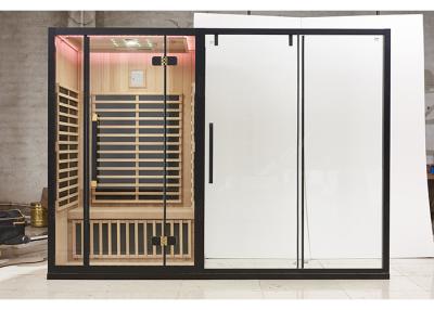 Wet Dry Steam 110V/220V/380V Sauna Room Far Infrared Light Therapy Room