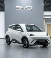 405 km Flying Pure Electric BYD Seagull Sedan EV Personalizado