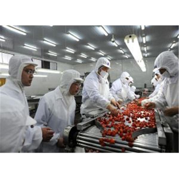 Customized Fruit Canning Equipment Canned Strawberry Production Machine