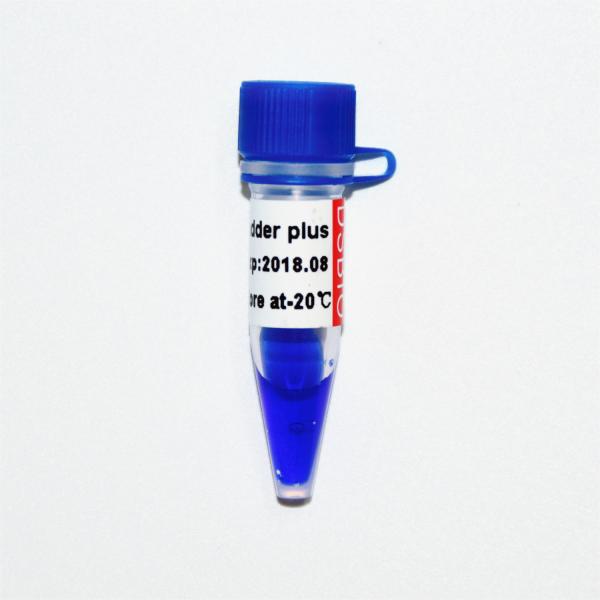 escada 100bp mais o marcador M1071 do ADN (50μg) /M1072 (50μg×5)