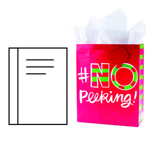 GIFT CANLENDAR BAGS, HOLIDAY BAGS, CHRISTMAS SANTA, JUMBO BIKE, LEAF, TREAT, HALLOWEEN, EASTER, VALENTIN