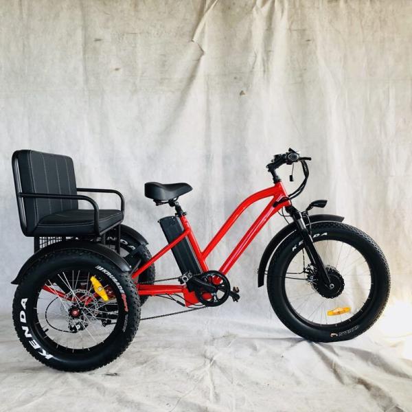 750W Central Motor Fat Tire Electric Rickshaw with Aluminum Carrier and Passenger Seat