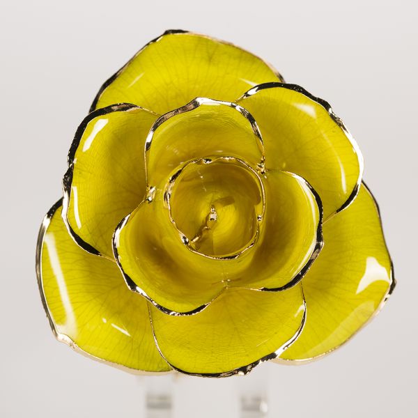 24k Gold Plated Rose  Handmade Preserved Rose Gold Rose Gift 2024 Upgraded Mother's Day Gift Factory Directly Supply