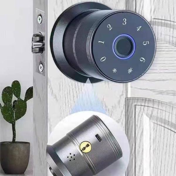 Office Tuya APP Smart Lock Aluminum Alloy Spherical Intelligent Door Lock