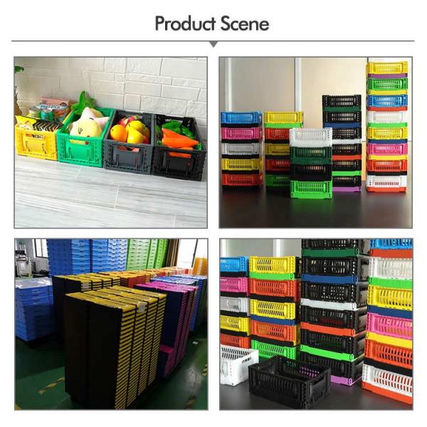 Клеть 5L хранения PP качества еды пластиковая складывая Multicolor