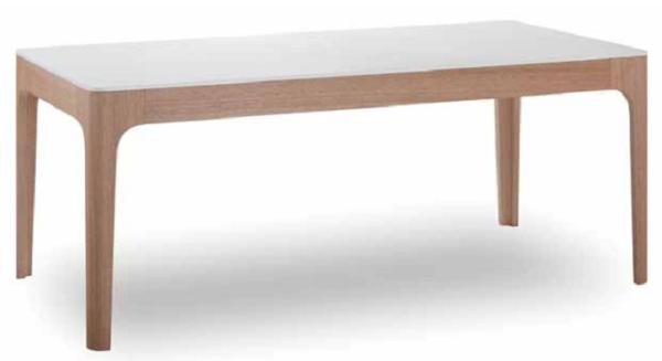 modern ashwood dining table furniture