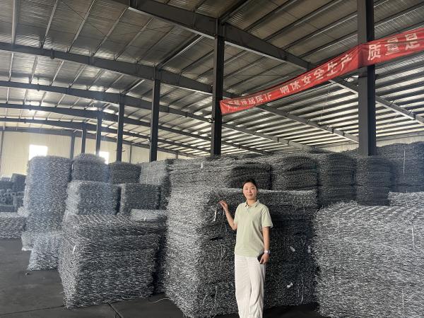 Caja de gabión galvanizado y sumergido en caliente de 2,0 a 4,0 mm de alambre doble malla de giro