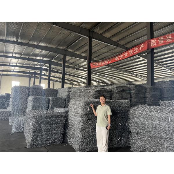 Special Made Hexagonal Galvanized PVC Coated Iron Wire Gabion Basket Gabion Cloture Mattress 4*2*1m For River Use