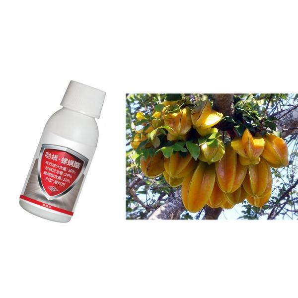 24% Spirodiclofen 12% Pyridaben SC Biological Pesticide Pepper Plant Insecticide