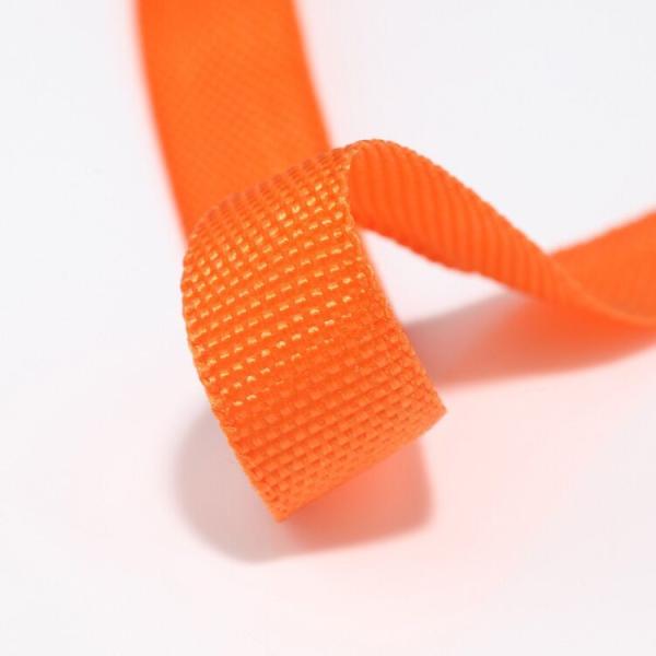 カスタム カラーポリプロピレン PP Webbing 高強度 エコフレンドリーストラップ
