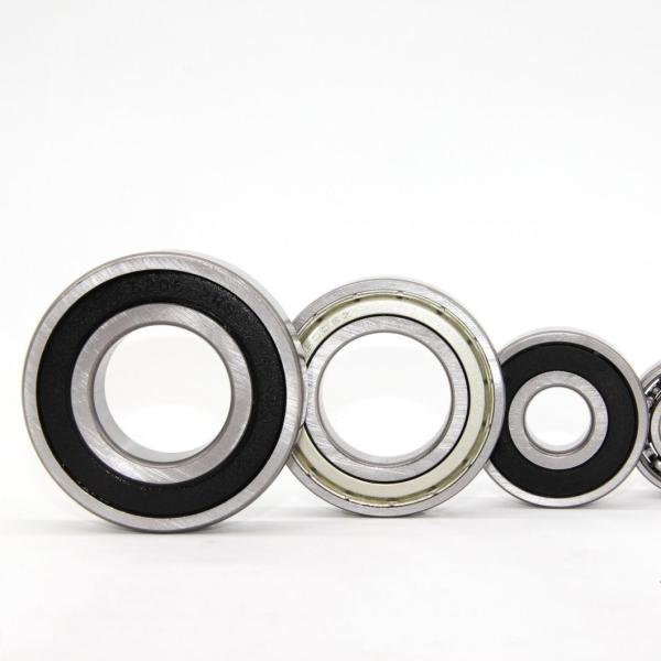 Bimetal Bushing Needle Bearings Precision Rating P0 RS Stainless Bearing Hardware Fitting