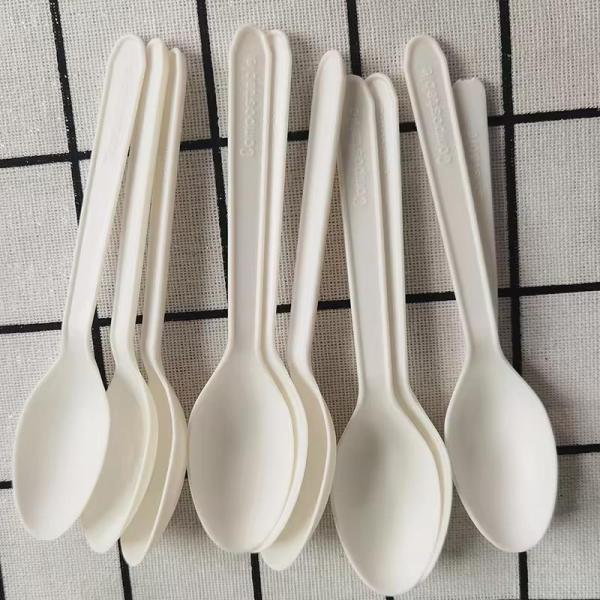 30-Day Return Policy and Popular PP Plastic Cutlery Set Disposable Tableware Plastic Fork