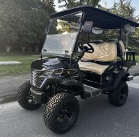 Carrinho de golfe de alto desempenho com bateria de lítio de longa duração ideal para campos de golfe