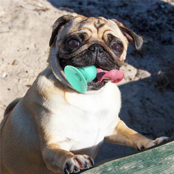 Licking Toys Cat Suction Cup Toys Dog Fun Pet Grind Teeth Chew