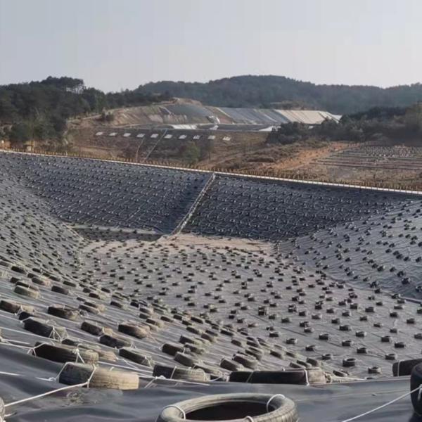 1mm 2mm HDPE Geomembranas for Landfill Dam Construction in Black White Blue or Green