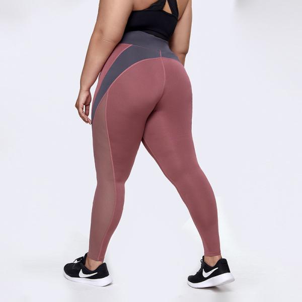 As mulheres apertadas mais a ioga do tamanho arfam Mesh Splicing High Elastic Quick seco