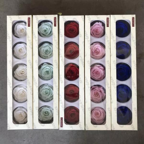 Wholesale 6-7cm preserved flower dried roses natural stabilized rose