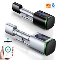 アパート用のスマートシリンダーキーパッドロック ツヤ/TTLock APP WIFI ドアの厚さ 30-45MM 強化セキュリティ