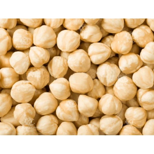 Stainless Steel 304 Food Grade Roasted Peanut Blanching Machine Hazelnut Peeling Machine