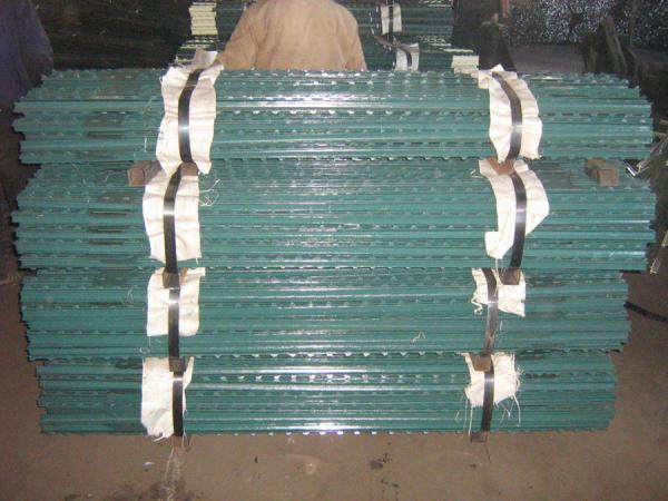 Elderly Garden Chain Link Fence Handrail