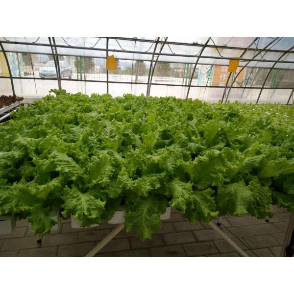 The Best Garden Vertical Hydroponics System NFT for Vegetable & Flower Growing