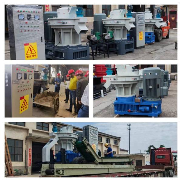 мельница лепешки древесины биотоплива плашки кольца 1t/H для ненужный деревянный окомкователь