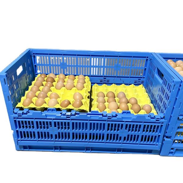 PE/PP Mesh Style Collapsible Egg Crate Moving Tote Box for Eggs Storage and Transport