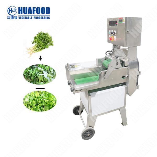 Multifunctional Green Onion Vegetable Chopper/ Vegetable Cutting Machine /Potato Fruit Vegetable Cutter
